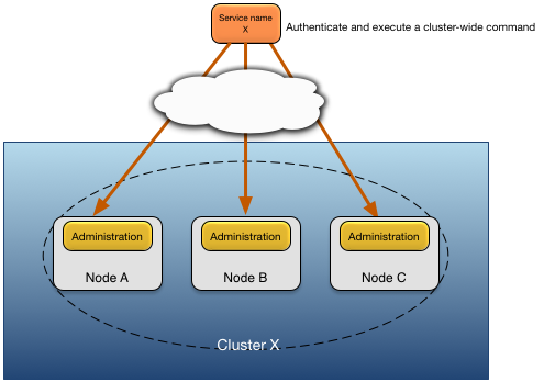 Cluster authentication model