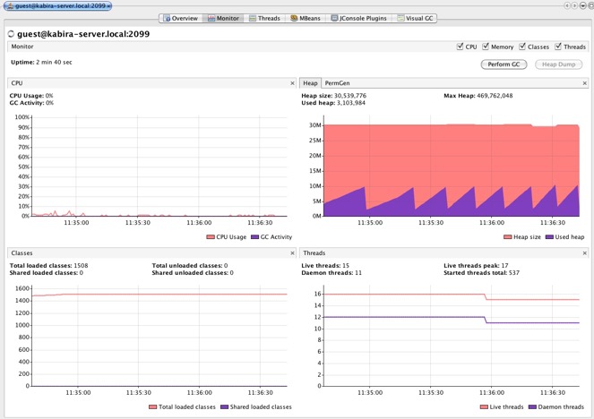 Visual VM